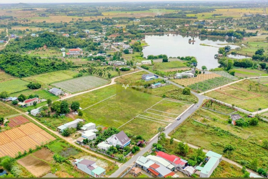 Vị trí đặt tọa lạc ngay tại Châu Pha, Bà Rịa-Vũng Tàu bán đất giá bán khởi đầu từ 1.7 tỷ diện tích rộng rãi 359m2-01