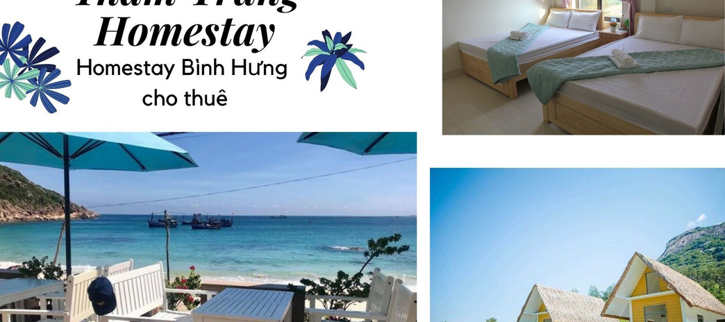 Thắm Trang Homestay – Homestay Bình Hưng, không thể bỏ lỡ trong những chuyến du lịch