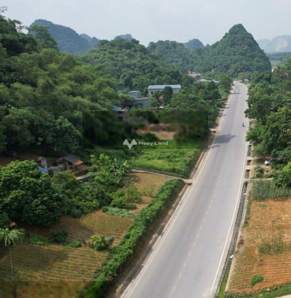 Giá 250 triệu bán đất diện tích quy ước 104m2 nằm ngay Điền Lư, Bá Thước-01