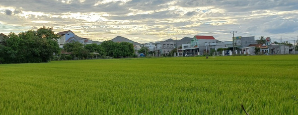 Chính chủ cần bán nhà cấp 4 rẻ nhất khu vực Tuy Phước, Bình Định-03