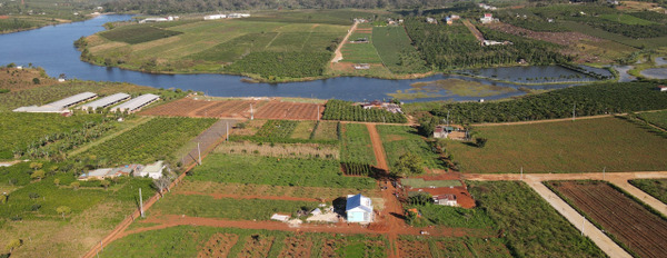 Đất thổ cư kèm view hồ kèm vườn cây ăn trái Lâm Hà, Lâm Đồng-02