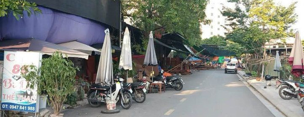 Cần bán đất thị xã Từ Sơn, Bắc Ninh giá 2 tỷ-02