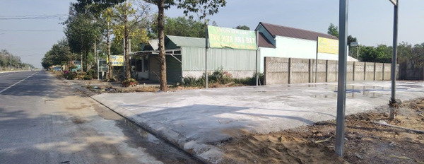 Chính chủ cho thuê đất mặt tiền đường Nguyễn Hữu Cảnh, Nhơn Trạch, DT: 278m2, giá chỉ 10 triệu -02