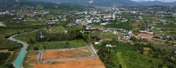 Bán đất 5 tỷ Bảo Lộc, Lâm Đồng có diện tích chung là 250m2-03