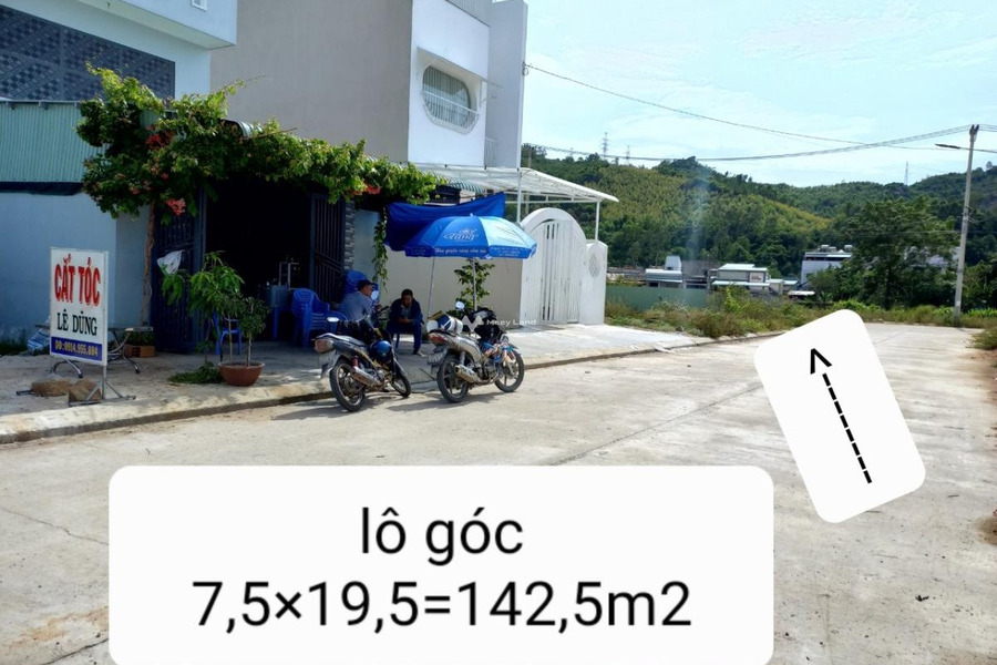 Lộ 15 m vị trí đẹp tọa lạc ngay Tuy Phước, Bình Định bán nhà bán ngay với giá cực kì tốt 2.25 tỷ-01