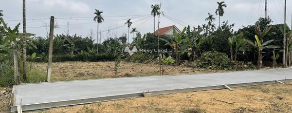 Nằm tại Hương Vân, Thừa Thiên Huế bán đất 430 triệu diện tích tổng 120m2-03