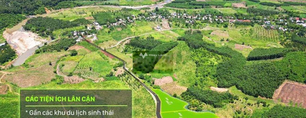 Vị trí hấp dẫn Khánh Thượng, Khánh Hòa bán đất giá bán thị trường chỉ 890 triệu diện tích rộng lớn 2553m2-03