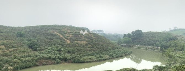 Khoảng 16 tỷ bán đất có diện tích trung bình 84000m2 vị trí đặt nằm tại Thanh Sơn, Lương Sơn-03