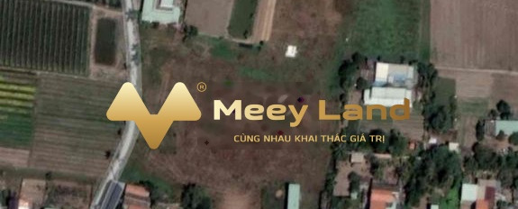 Bán đất diện tích rộng 100m2 tại Bùi Thanh Khiết, Hồ Chí Minh, giá 1,2 tỷ-02
