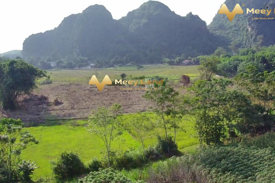 Bán đất tại xã Phú Nghĩa, Hòa Bình, Diện tích 1707m2, giá thương lượng-01
