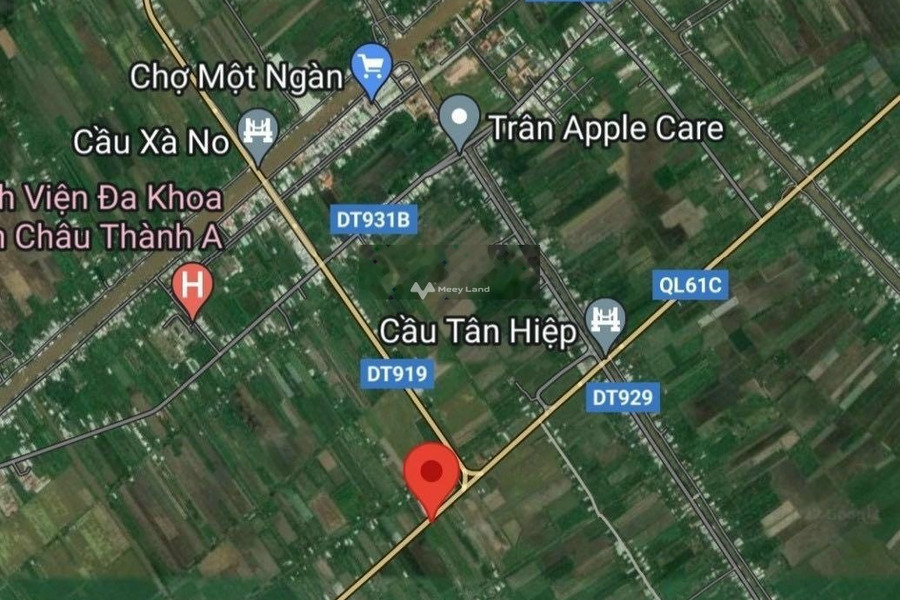 Bán đất 11 tỷ Quốc Lộ 61C, Châu Thành A có diện tích gồm 11400m2-01