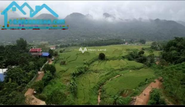 Tú Sơn, Hòa Bình bán đất giá đề xuất từ 2.2 tỷ diện tích mặt tiền 2000m2