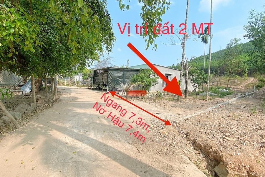 Bán nhà bán ngay với giá vô cùng rẻ 595 triệu có diện tích 215m2 vị trí mặt tiền tọa lạc ở Khánh Vĩnh, Khánh Hòa-01