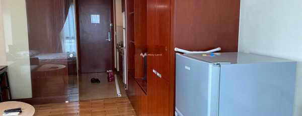 Cho thuê chung cư ngay ở Nguyễn Hữu Cảnh, Hồ Chí Minh, trong căn này gồm 1 phòng ngủ, 1 WC ở lâu dài-02