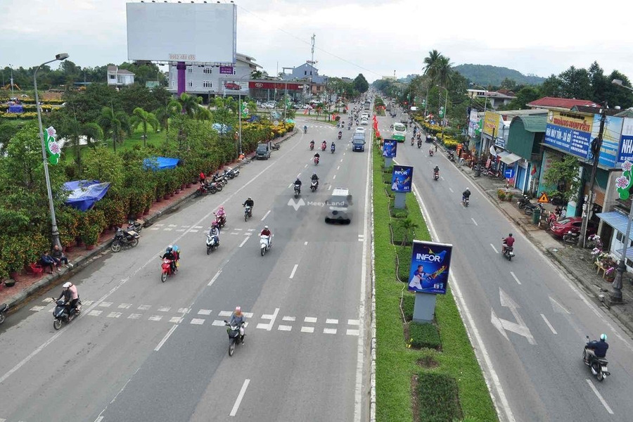 Bán nhà nằm ngay bên trong Nguyễn Tất Thành, Thừa Thiên Huế bán ngay với giá thị trường 14 tỷ có diện tích chung 400m2-01