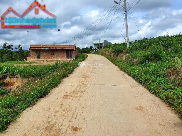 Vị trí đẹp Ninh Gia, Đức Trọng bán đất giá bán thực tế chỉ 950 triệu với diện tích rộng 232m2, với đường thông ngang 6 mét-01