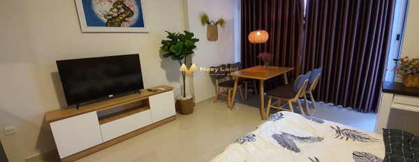 Giá chỉ 2.13 tỷ bán căn hộ diện tích 35m2 vị trí nằm ngay ở Tân Bình, Hồ Chí Minh-02