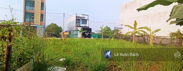 Nằm trong mức 700 triệu bán đất có một diện tích sàn 120m2 vị trí đặt vị trí ở Nguyễn Đình Chiểu, Sóc Trăng-03