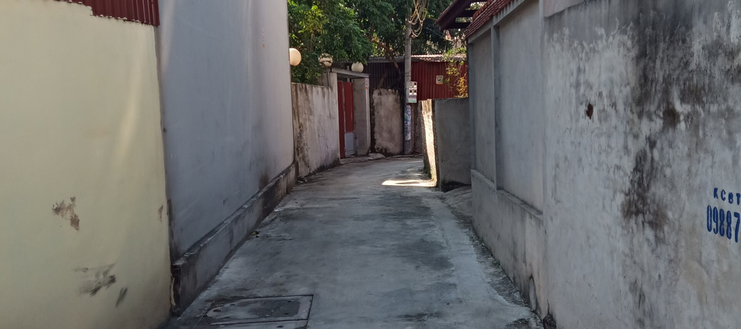 Bán đất tại Lạc Đạo, Văn Lâm 85m2, mặt tiền 5m, ô tô vào tận nhà