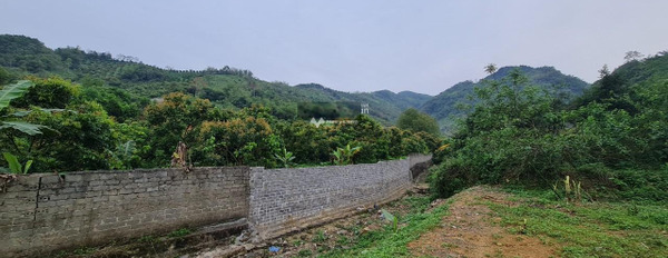 Cao Sơn, Hòa Bình bán đất giá bán tốt chỉ 2.5 tỷ với diện tích khoảng 1022m2-03
