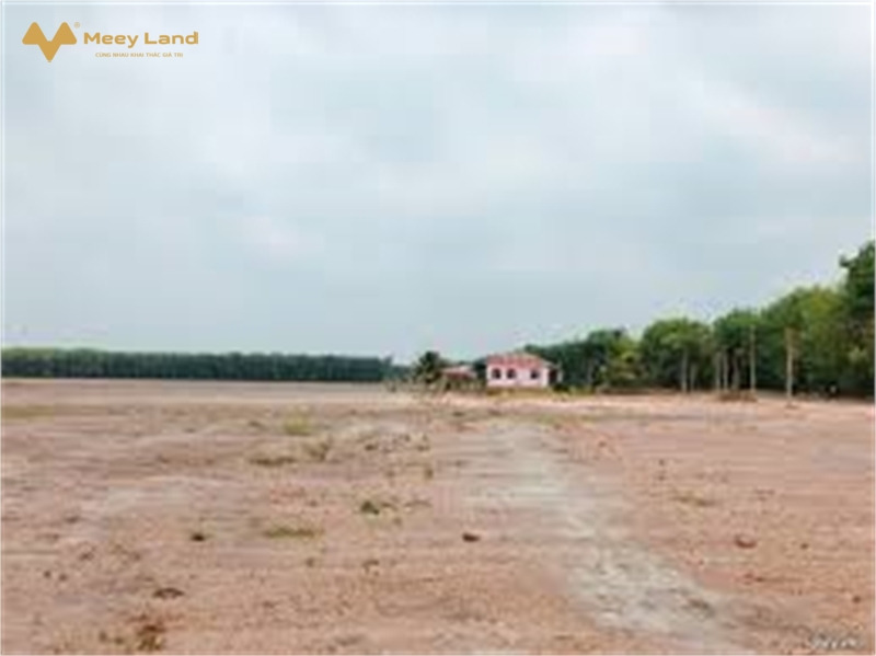 Bán 12ha đất kho nhà xưởng 50 năm tại Huyện Thuận Thành, Tỉnh Bắc Ninh-01