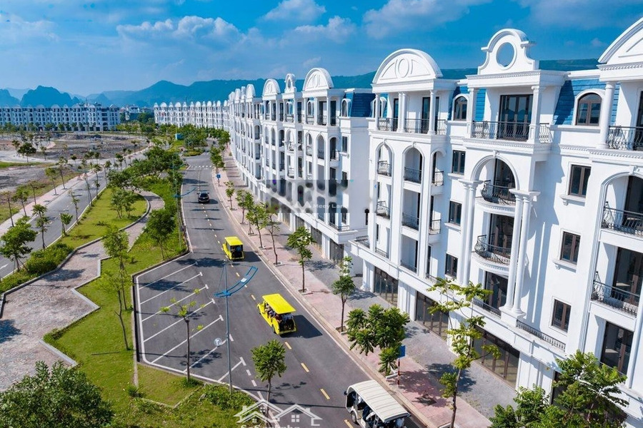 Green Dragon City Cẩm Phả, Quảng Ninh bán đất giá hữu nghị 5.51 tỷ, hướng Nam có một diện tích sàn 141.34m2-01