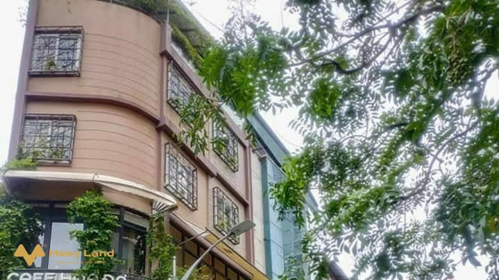 Cần bán tòa nhà chuyên kinh doanh cafe mặt phố Phố Vọng, quận Hai Bà Trưng, Hà Nội, 6 tầng. Giá 19 tỷ-01
