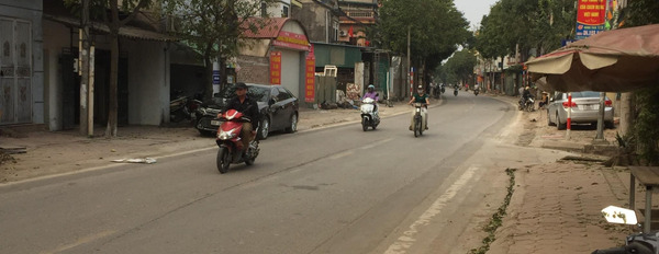 Bán đất mặt đường 23B Vân Nội, Đông Anh 185m2 kinh doanh-02