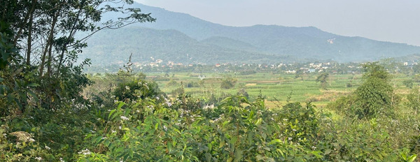 Lô đất có 102 tại Yên Bài, Ba Vì diện tích 868m2, view cao nhìn cả thế giới. Giá rẻ nhất khu vực vị trí trung tâm-03