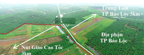 Ở Lý Thái Tổ, Lâm Đồng bán đất 980 triệu có diện tích thực là 200m2-02
