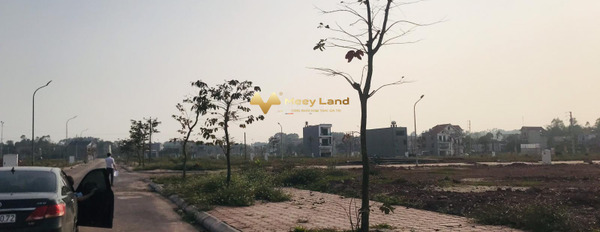 790 triệu bán đất diện tích thực là 80 m2 vị trí đặt tọa lạc ngay tại Yên Thế, Bắc Giang-03