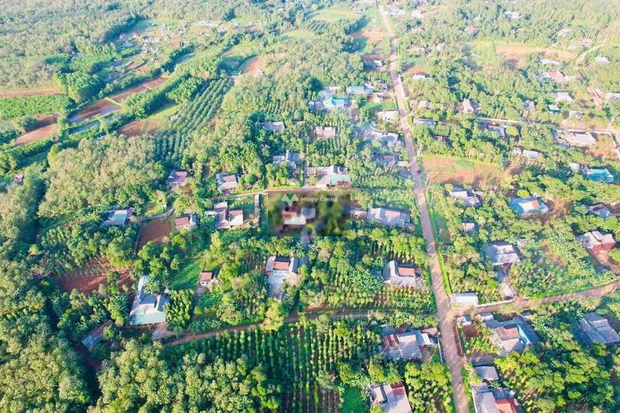 Giá thị trường 99 triệu bán đất có một diện tích 100m2 mặt tiền tọa lạc ngay trên Vĩnh Hòa, Quảng Trị-01