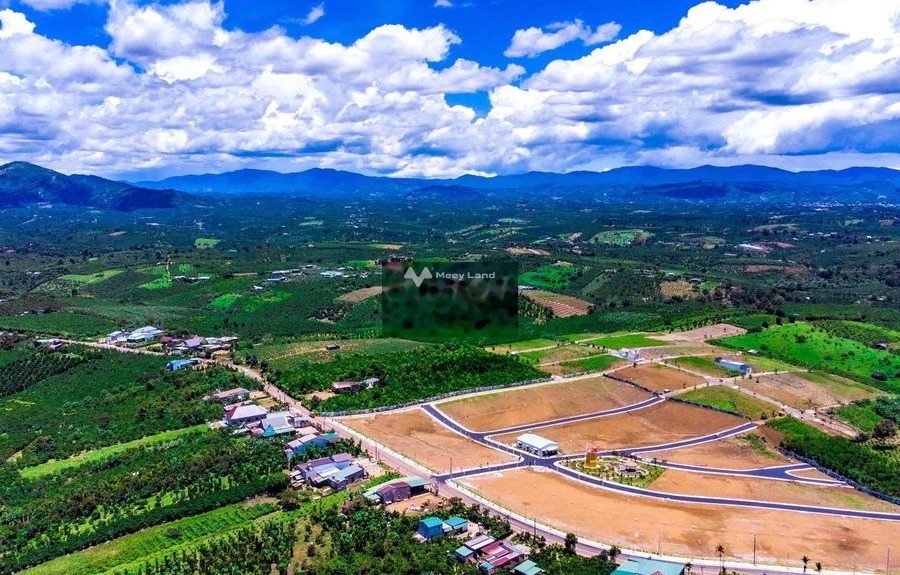 Bán đất 650 triệu Bảo Lâm, Lâm Đồng diện tích sàn là 120m2-01