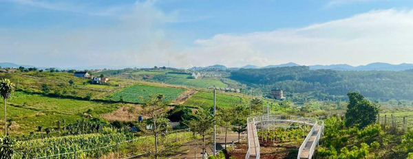 Lý Thái Tổ, Lộc Tân bán đất giá chỉ từ chỉ 690 triệu diện tích tổng 100m2-02