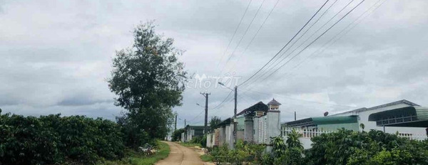 Khoảng từ 500 triệu bán đất với diện tích chuẩn 200m2 vị trí thuận lợi tại Nguyễn Lữ, Ia Sao-03