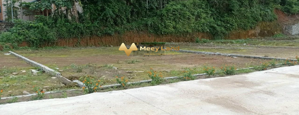 Bán đất tại Đường 6, Mông Hóa, Hòa Bình. Diện tích 10000m2, giá 95 tỷ-02
