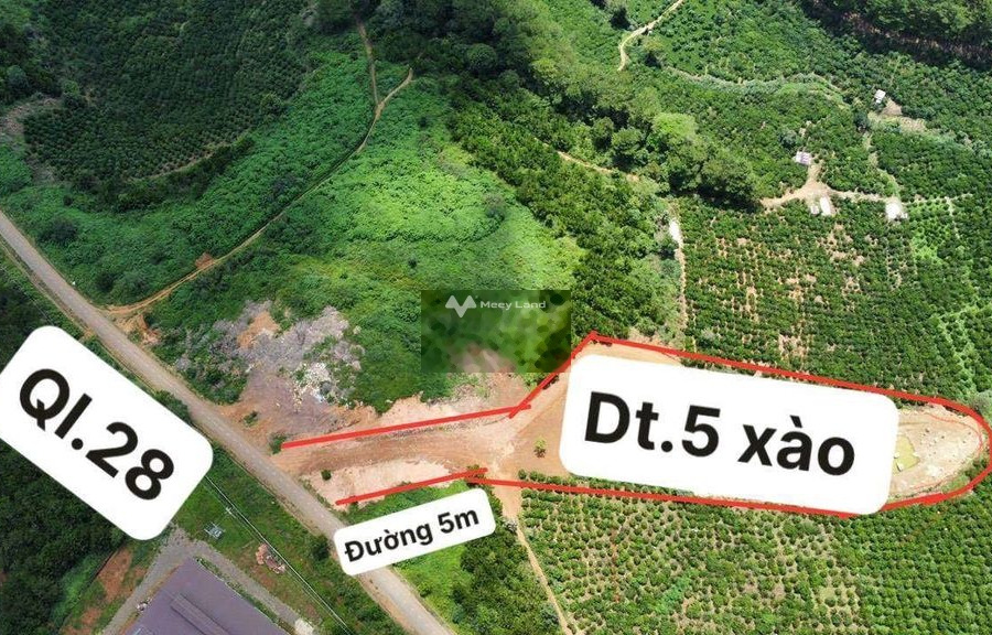 Nằm tại Gung Ré, Lâm Đồng bán đất 2.4 tỷ có diện tích là 5000m2-01