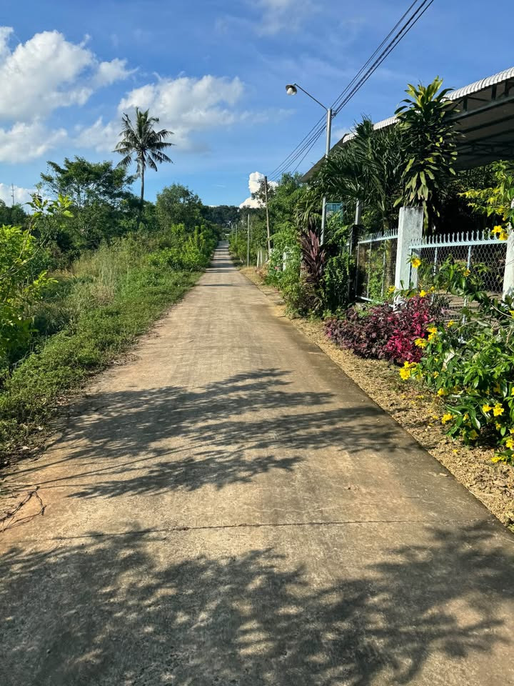 Bán đất quận 11 thành phố Hồ Chí Minh giá 900.0 triệu-0