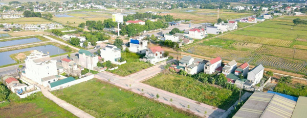 Giá cực sốc chỉ 1.2 tỷ bán đất có diện tích rộng 160m2 vị trí đặt vị trí nằm ở Tân Phong, Quảng Xương-02