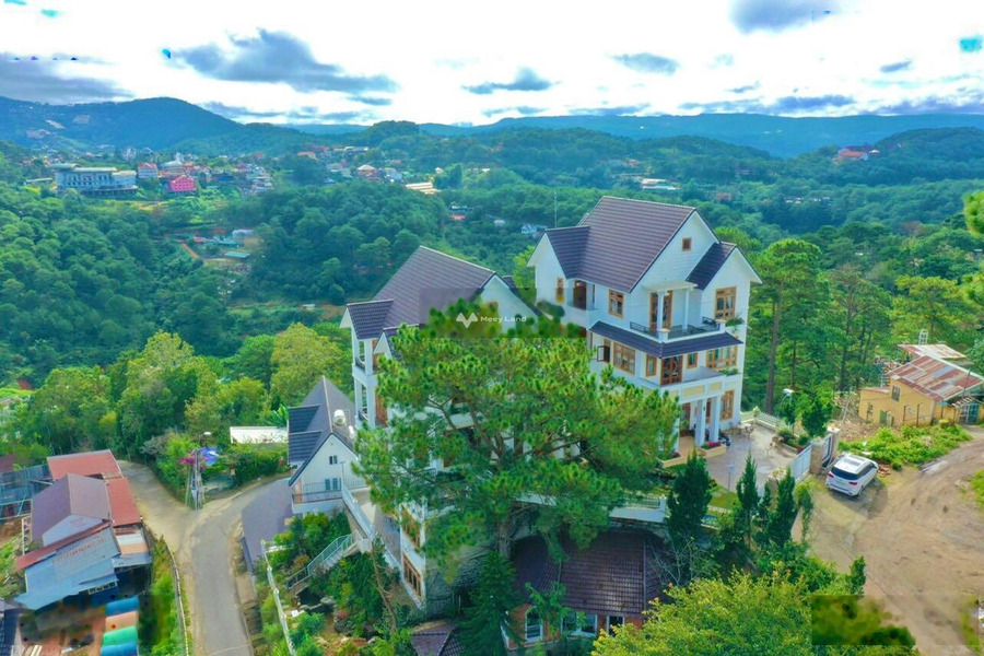 Vị trí đẹp tọa lạc ngay trên Đặng Thái Thân, Lâm Đồng bán đất giá bán giao động từ 54 tỷ có diện tích thực 800m2-01