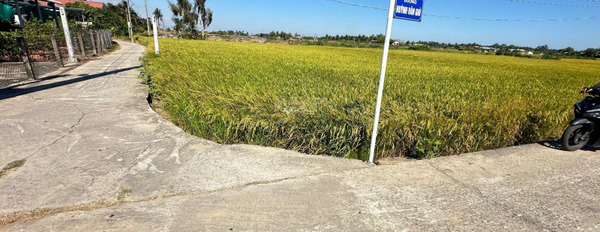 Đất thổ đường bê tông xe hơi gần trung tâm Tân Trụ -03