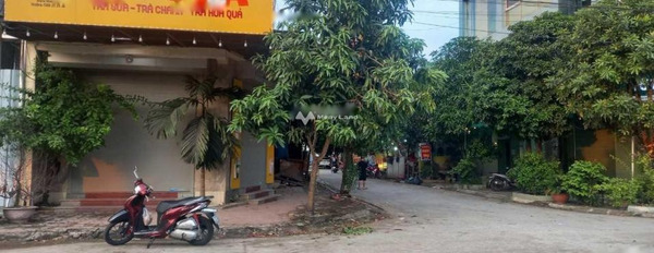 Bán nhà vị trí đặt ở Mê Linh, Hà Nội. Diện tích 90m2-03