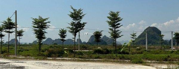 Bán mảnh đất diện tích 126m2 tại Gia Thịnh, Ninh Bình-02