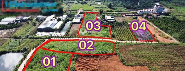 Giá bán giao động 2.4 tỷ bán đất diện tích rộng 1624m2 tọa lạc ngay tại Nam Ban, Lâm Hà-03