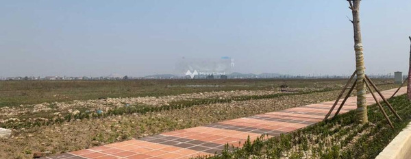 Giá bán bất ngờ chỉ 345.4 triệu bán đất với diện tích là 110m2 vị trí tiềm năng Yên Lư, Yên Dũng-02
