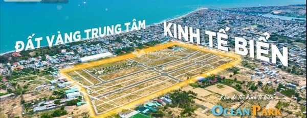 Tuy Phong, Bình Thuận 2.05 tỷ bán đất với diện tích rộng 100m2-02