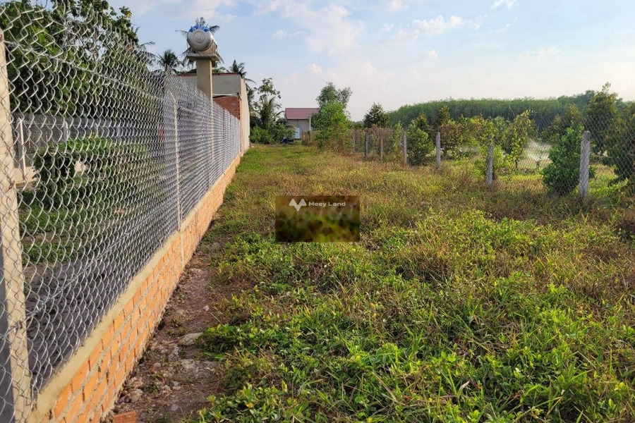 Bán đất ở Gia Lộc, Tây Ninh giá 560 triệu-01
