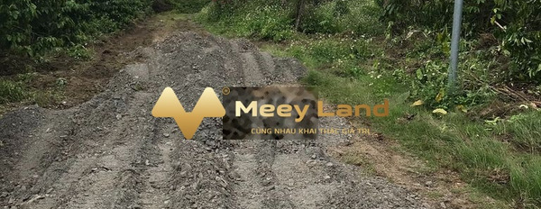 Bán đất 1.35 tỷ Di Linh, Lâm Đồng có dt khoảng 1200 m2-03