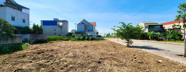 Quảng Xương, Thanh Hóa bán đất, hướng Nam toàn bộ khu vực có diện tích 320m2-02