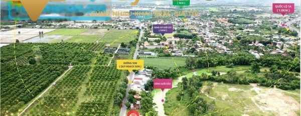 Bán đất giá 885 triệu đường Hương Lộ 39, xã Suối Cát diện tích thực là 149m2-02